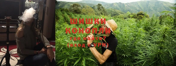 ГАЛЛЮЦИНОГЕННЫЕ ГРИБЫ Ладушкин