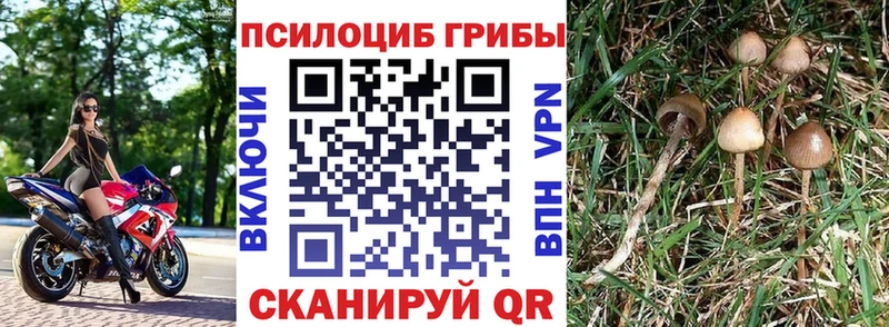 hydra ссылка  цена   Лесной  Псилоцибиновые грибы MAGIC MUSHROOMS 