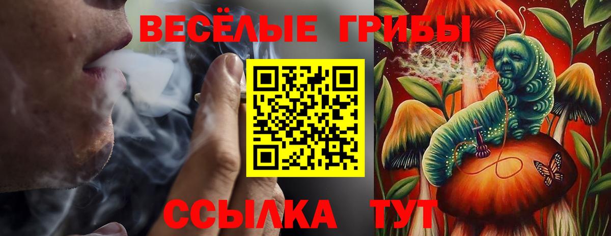 Галлюциногенные грибы MAGIC MUSHROOMS  Вход с VPN  Лесной 