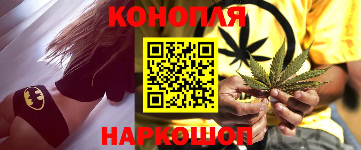 Конопля индика Лесной